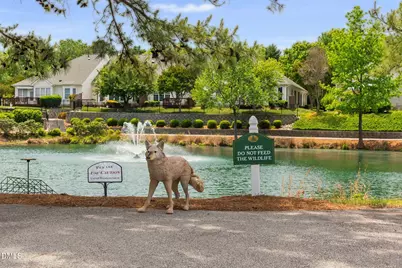 431 Sawgrass Hill Court, Cary, NC 27519 - Photo 58