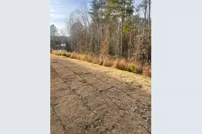 230 Palm Drive, Sanford, NC 27332 - Photo 26