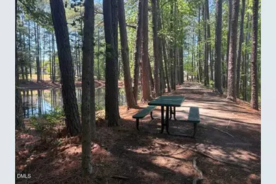 919 Homestead Park Drive, Apex, NC 27502 - Photo 24
