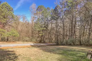 2929 Seaforth Rd, Pittsboro, NC 27312 - Photo 80