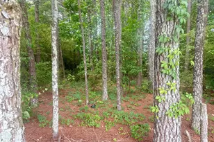 0 Happy Trails Ln, Dunn, NC 28334 - Photo 1