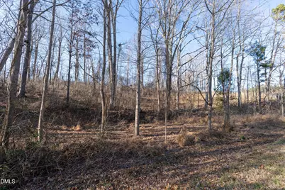 Tbd Pleasant Hill Church Rd Road, Siler City, NC 27344 - Photo 4