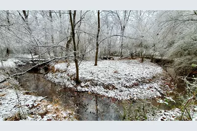 201 Briggs Road, Hurdle Mills, NC 27541 - Photo 30