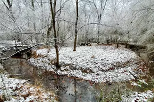 201 Briggs Rd, Hurdle Mills, NC 27541 - Photo 30