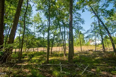 201 Briggs Road, Hurdle Mills, NC 27541 - Photo 38
