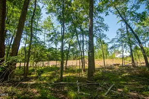 201 Briggs Rd, Hurdle Mills, NC 27541 - Photo 38