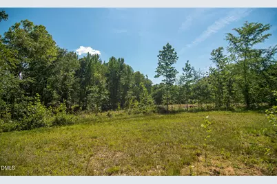 201 Briggs Road, Hurdle Mills, NC 27541 - Photo 40