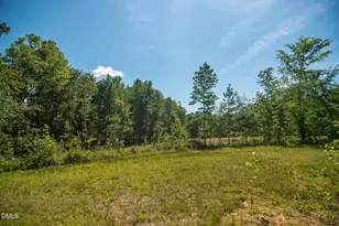201 Briggs Rd, Hurdle Mills, NC 27541 - Photo 40