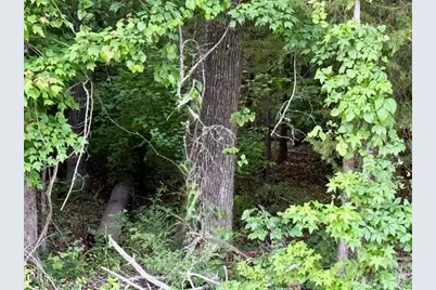 Tbd Carolina 119, Semora, NC 27343 - Photo 6