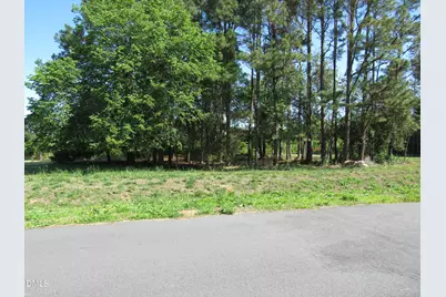 10 Skyline Drive, Louisburg, NC 27549 - Photo 16