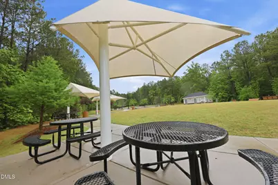 170 Symmetry Loop, Youngsville, NC 27596 - Photo 42