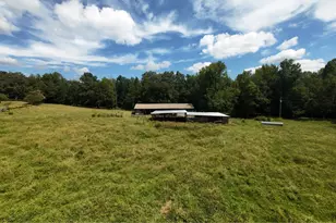 2250 Bethel Church Rd, Climax, NC 27313 - Photo 48