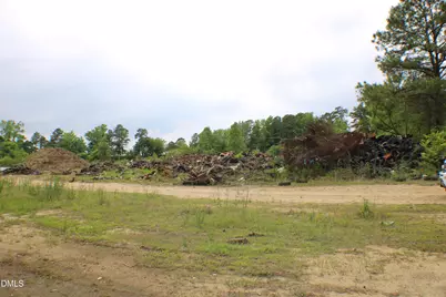 990 George Perry Lee Road, Dunn, NC 28334 - Photo 52