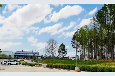 108 Alderberry Court, Hillsborough, NC 27278 - Photo 40