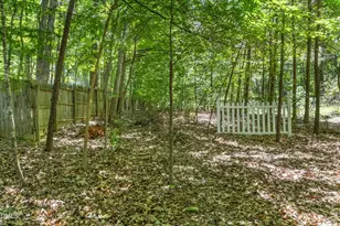 209 Butternut, Chapel Hill, NC 27514 - Photo 36