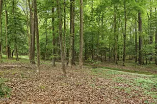 1400 Cane Creek Dr, Garner, NC 27529 - Photo 60