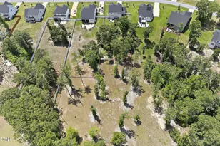 153 Morningside Ln, Angier, NC 27501 - Photo 92