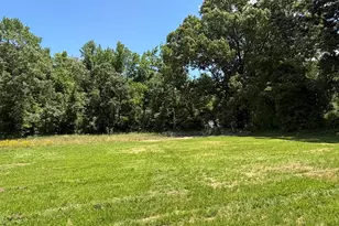 198 Hot Spgs Wy, Benson, NC 27504 - Photo 30
