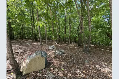 033 Fire Tower Drive, Rougemont, NC 27572 - Photo 4