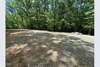 033 Fire Tower Drive, Rougemont, NC 27572 - Photo 2