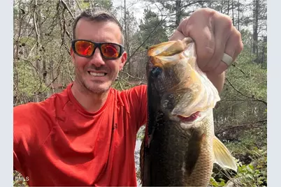 0 Bass Mountain, Snow Camp, NC 27349 - Photo 10