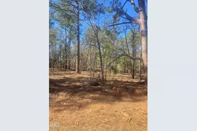 0 N Nc 73, Jackson Springs, NC 27281 - Photo 1