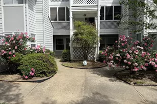 4900 Avenida Del Sol Dr, Raleigh, NC 27616 - Photo 34