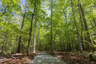 260 Bc Wy, Rougemont, NC 27572 - Photo 66