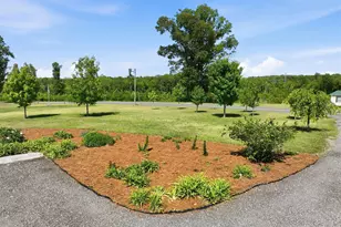 287 Oliver Loop Rd, Roxboro, NC 27574 - Photo 6