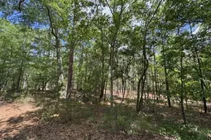 Lot 2 Utley St, Aberdeen, NC 28315 - Photo 1