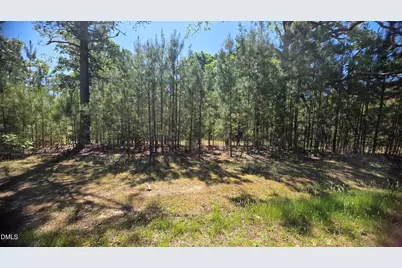 352 Laurel Mill Road, Louisburg, NC 27549 - Photo 2