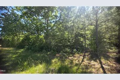 0000 Laurel Mill Road, Louisburg, NC 27549 - Photo 4