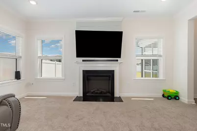 311 Horseshoe Place, Angier, NC 27501 - Photo 16