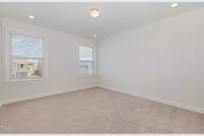 311 Horseshoe Place, Angier, NC 27501 - Photo 32
