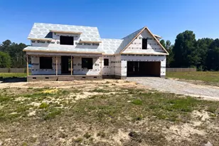 5570 Martys Ct, Bailey, NC 27807 - Photo 1