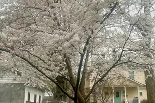 513 College St, Oxford, NC 27565 - Photo 76