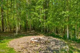 1100 Sweetflag Ln, Hillsborough, NC 27278 - Photo 42