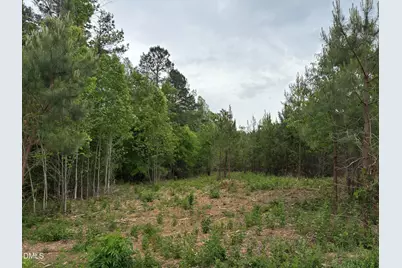 0 Burchette Road, Manson, NC 27553 - Photo 16