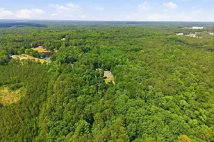 215 E Deer Run, Apex, NC 27523 - Photo 64