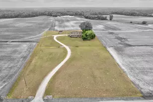 3295 Nobles Mill Pond Rd, Rocky Mount, NC 27801 - Photo 52