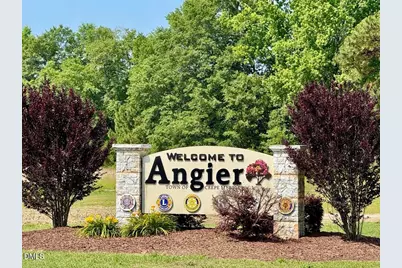 114 S Bream Court, Angier, NC 27501 - Photo 36