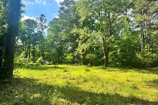 540 Crabapple Ln, Erwin, NC 28339 - Photo 1