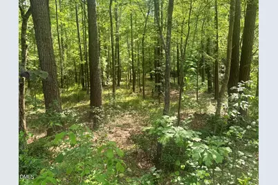 540 Crab Apple Lane, Erwin, NC 28339 - Photo 4