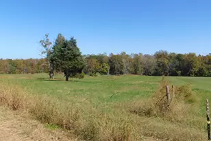 4067 Chewning Rd, Oxford, NC 27565 - Photo 54