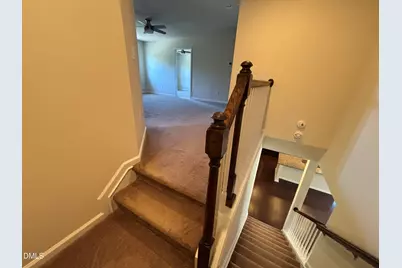 1009 Magnolia Blossom Lane, Apex, NC 27502 - Photo 46