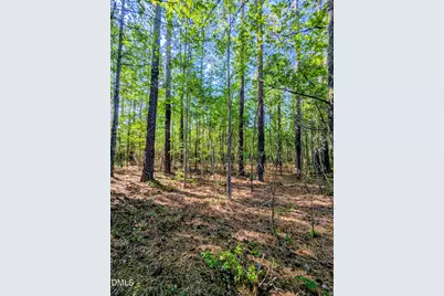 0 Nc 98 Hwy E., Bunn, NC 27508 - Photo 12