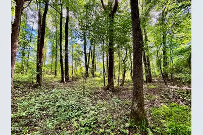 0 Eli Olive, Smithfield, NC 27577 - Photo 8