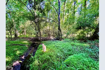 0 Eli Olive, Smithfield, NC 27577 - Photo 10