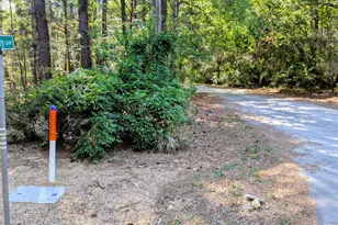 Lot 1 Blueberry Ln, Chapel Hill, NC 27516 - Photo 1