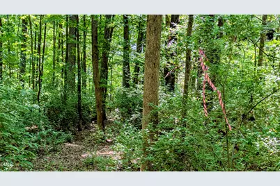 Lot 1 Blueberry Lane, Chapel Hill, NC 27516 - Photo 2